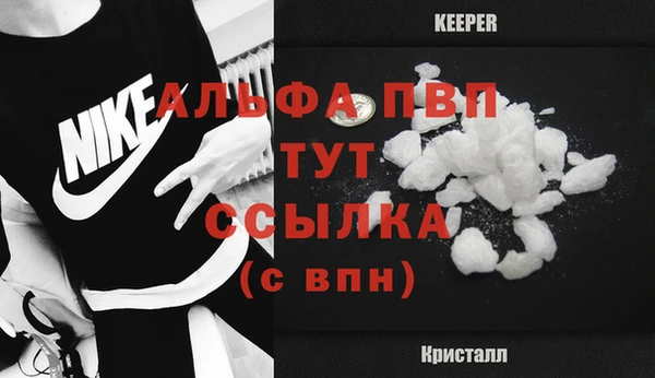 СК Аркадак