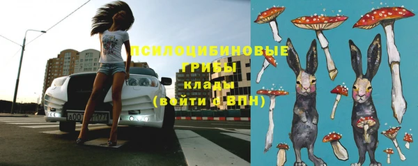спиды Армянск